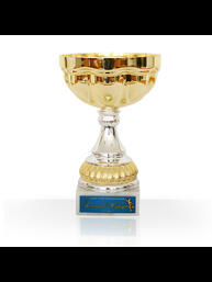 Награда конкурса «Золотой меркурий» в номинации «Лучшее предприятие-экспортер» в сфере международного инновационного сотрудничества